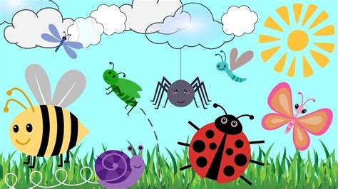 BUG CARTOONS FOR KIDS!! | Learn Bug Names | Creepy Crawlies & Fun