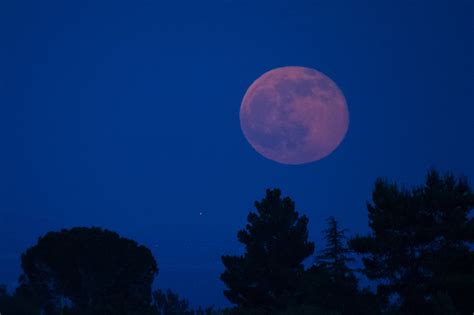 A Pink Moon Is Set To Illuminate Vancouver Skies Next Month Vancouver