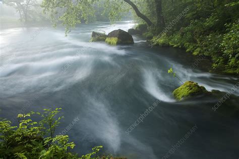 Creek - Stock Image - C001/6928 - Science Photo Library