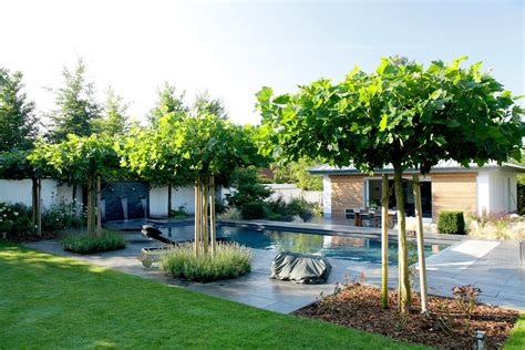 Sie kennen sicherlich das alte sprichwort, dass jeder mann im leben ein haus gebaut, einen baum gepflanzt und ein kind gezeugt haben sollte. Dach-Platanen dienen als Schattenspender neben der ...