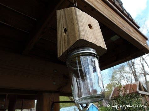 The bees will be forced to get out of their nest. How to Build a Carpenter Bee Trap