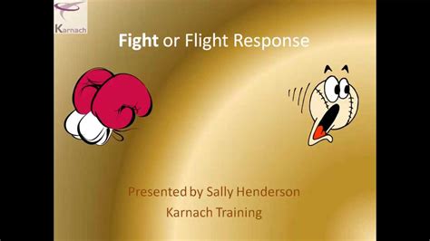The functions of this response were first described in the early 1900s. Fight/flight response - YouTube