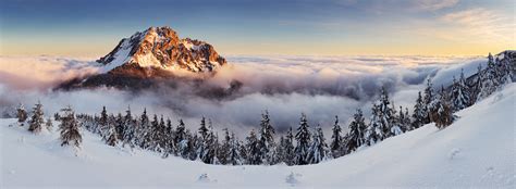 Wallpaper Trees Landscape Snow Winter Alps Summit Ridge