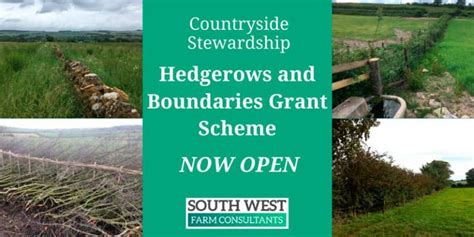 Countryside Stewardship Scheme Now Open For 2021 South West Farm