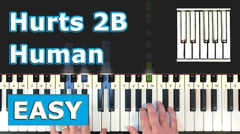 Pink Ft Khalid Hurts 2b Human Piano Tutorial Easy Sheet Music