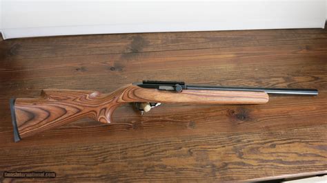 Ruger 1022 Custom 17 Hmr