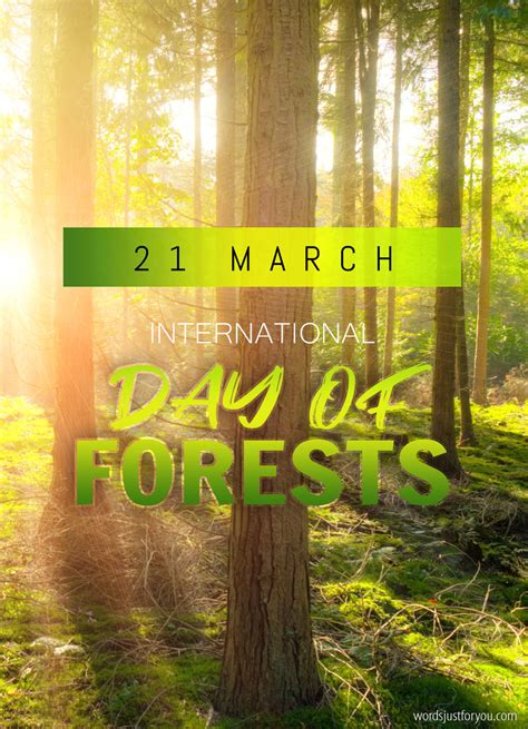 International Day Of Forests 21 March