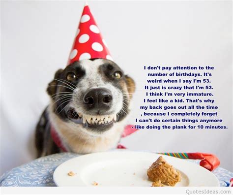 Happy Birthday Puppy Quotes Shortquotescc