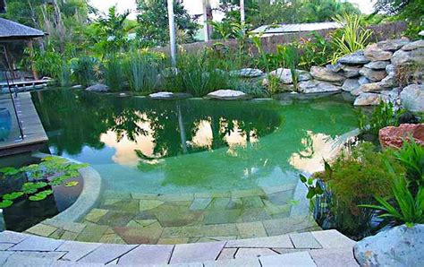 Natural Swimming Pools In The Swim Pool Blog