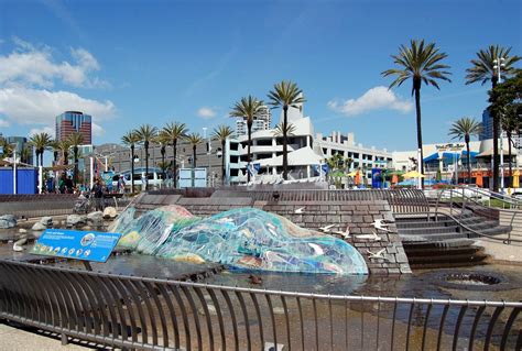 Aquarium Of The Pacific Long Beach California