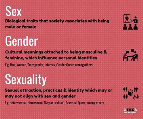 Sociology Of Gender The Other Sociologist