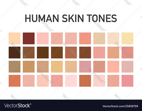 Human Skin Tone Color Palette Set Isolated On Vector Image