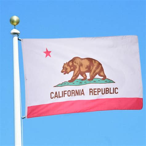 1 Pcs 90150cm California State Flags For Activity Parade Festival