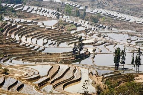 Honghe Hani Rice Terraces Now A Unesco World Heritage Site