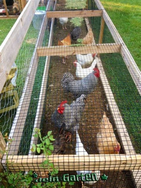 Special Chicken Run Ideas For Your Garden Decoration Chickens