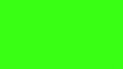 Download Cute Neon Green Wallpaper Solid Color Background By