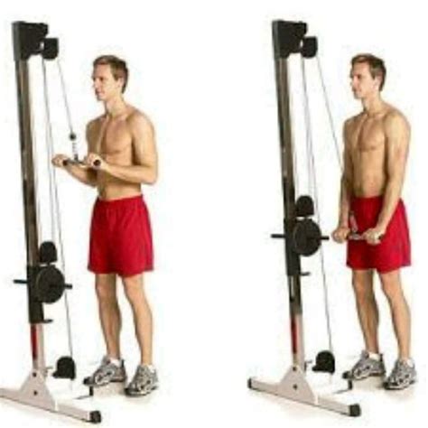 Tricep Bar Pushdown By Brian Dignadice Exercise How To Skimble