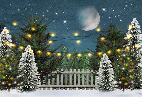 Merry Christmas Photo Backdrop Snowflake Photography Background Winter