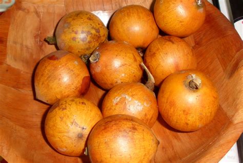 10 Health Benefits Of African Star Apple Agbalomo Recipes