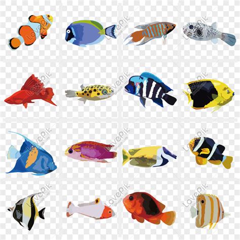 41 Koleksi Gambar Dekoratif Hewan Ikan Hd Terbaru Gambar Hewan