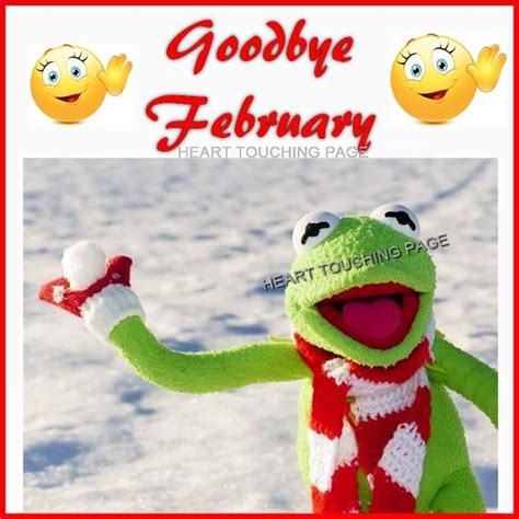 Kermit Goodbye February Snow Image Pictures Photos And Images For