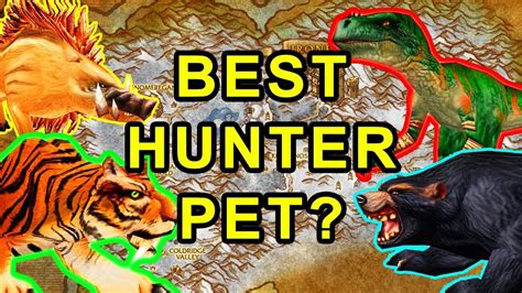 Classic Wow Best Hunter Pet For Leveling Detailed Guide Youtube