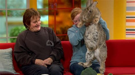 Is This The Worlds Biggest Rabbit Itv News