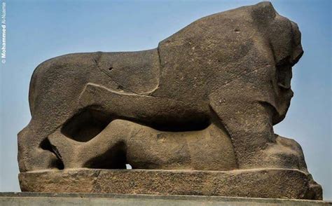 Lion Of Babylon South Of Iraq Lion Sculpture Babylon Elephant