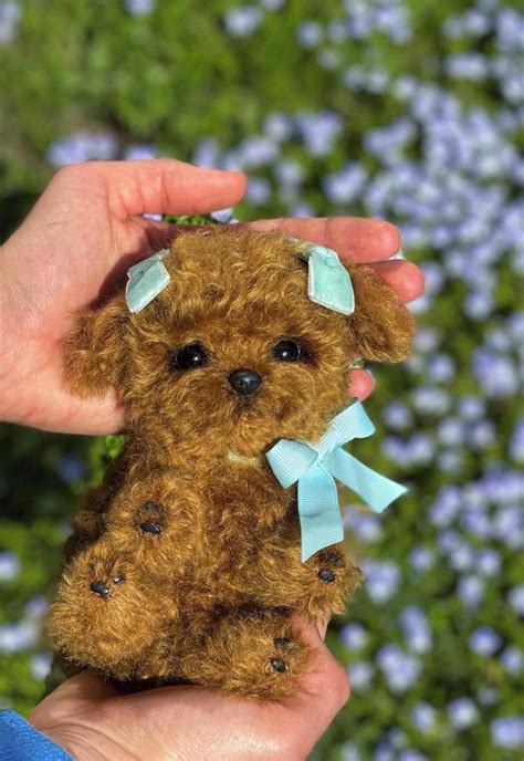 They are very obedient, nimble and easy to be trained. Teacup poodle "Lovely " by Ksenia Savostianova | Handmade ...