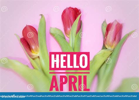 Banner Hello April Hi Spring The Second Month Of Spring Stock Image
