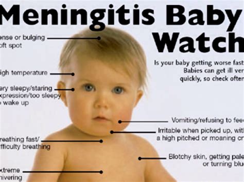 Meningitis Rash