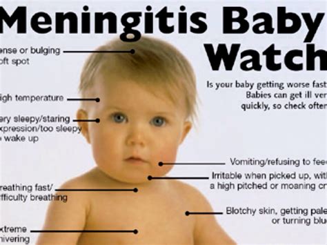 Meningitis By Samanthaurias