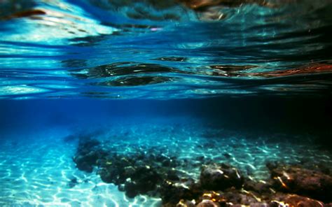 Underwater Backgrounds Free Download Pixelstalknet