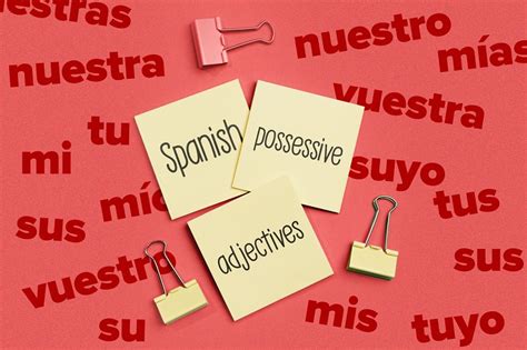 Spanish Possessive Adjectives Fluentu Spanish