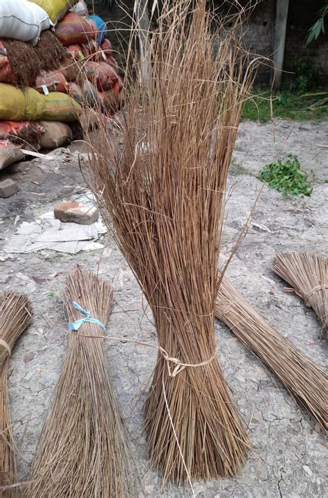 Floor Handmade Coconut Broom Sticks At Rs 26piece In Kolkata Id