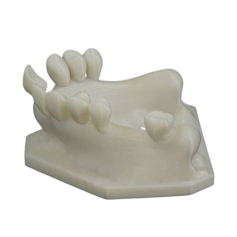 Buy Partially Edentulous Maxilla V Invent Online At Lowest