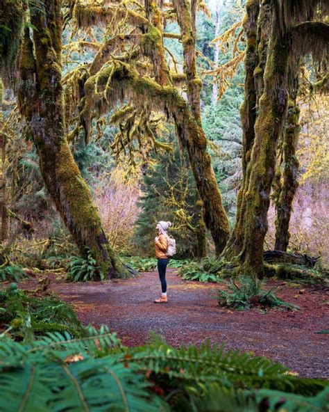 Beginner Hikes In Washington 18 Incredible Spots Renee Roaming