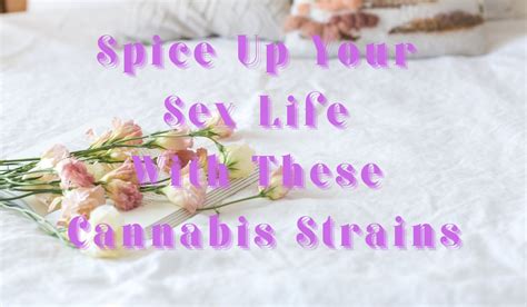 Spice Up Your Sex Life With These Cannabis Strains Be Wise Professor