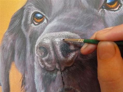 How To Paint A Dog In Acrylics By Mariondutton Pet Portrait Paintings