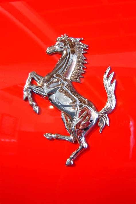 Check spelling or type a new query. Ferrari Prancing horse | SchumiCampione | Flickr