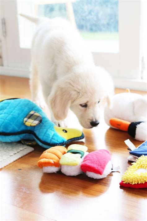 Not All Dog Toys Are Equal How To Choose Quality Dog Toys Pretty
