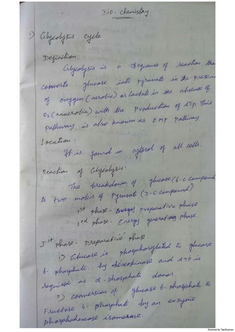 Solution Glycolysis And Tca Cycle Studypool