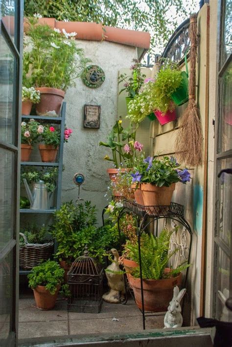 6 Benefits Of Organic Container Gardening You Knew Nothing About