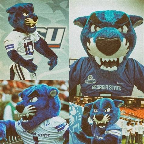 Usa University Mascots Mascot Usa University Mascot Design