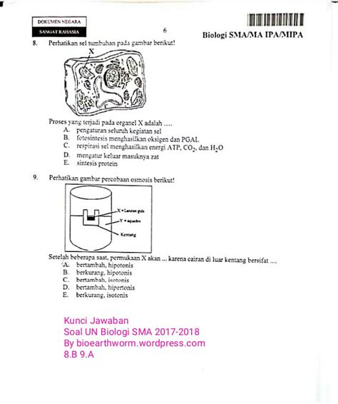 2012/2013 latihan menghadapi ujian nasional 1. Pembahasan Soal Un Biologi 2019 Paket 2 - Guru Ilmu Sosial