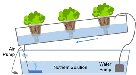 How Different Hydroponics Growing System Works Pros And Cons