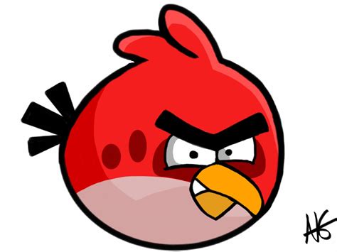 Angry Bird Angry Birds Are Amazing Photo 32024326 Fanpop
