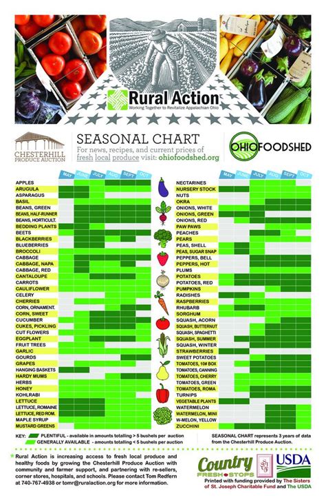 Fruit And Vegetables In Season Chart