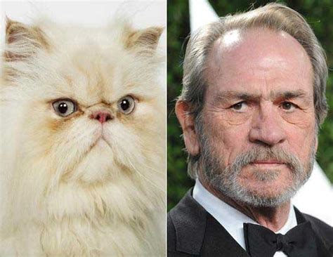 Celebrities And Their Cat Look Alikes Gallery