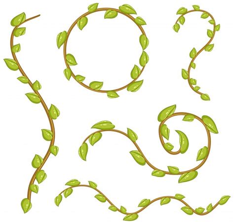 Free Vector Vines And Leaves At Getdrawings Free Download